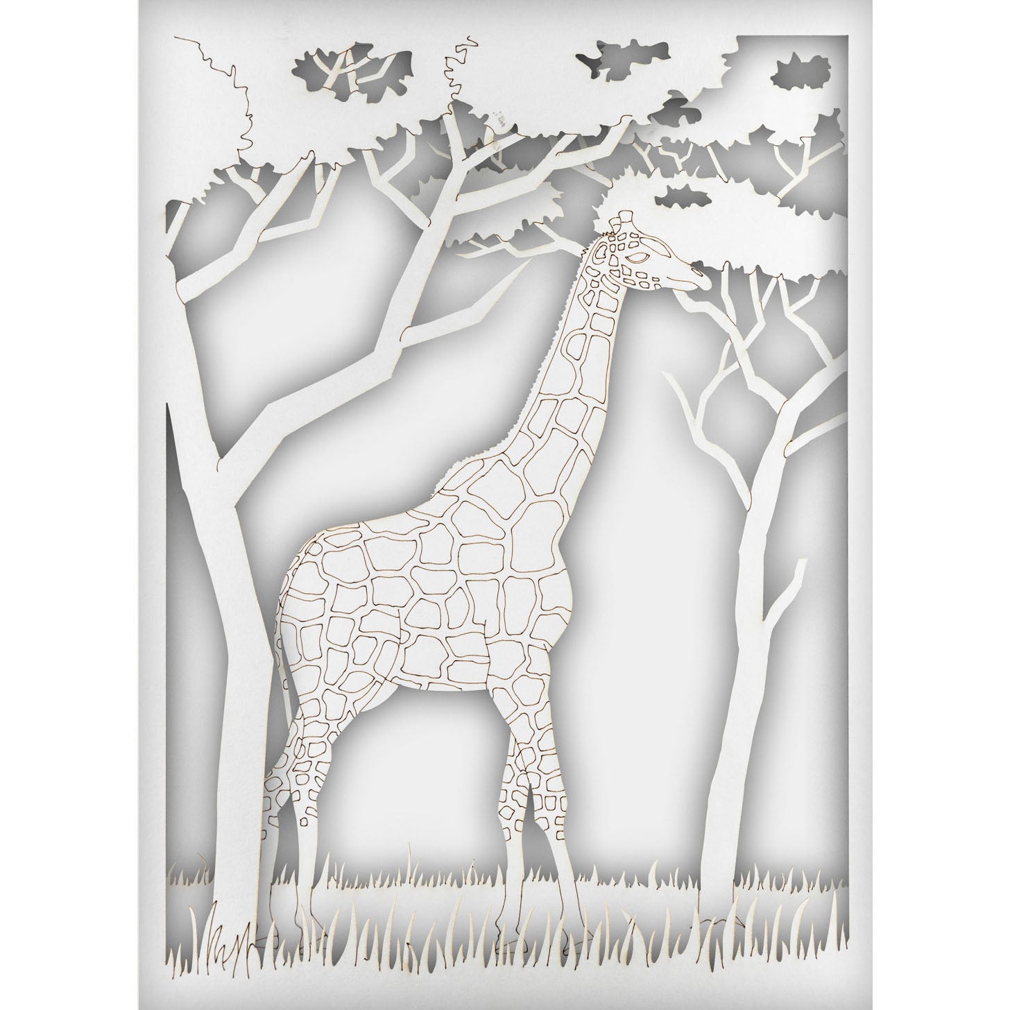 Inset Refill, Portrait - Animals