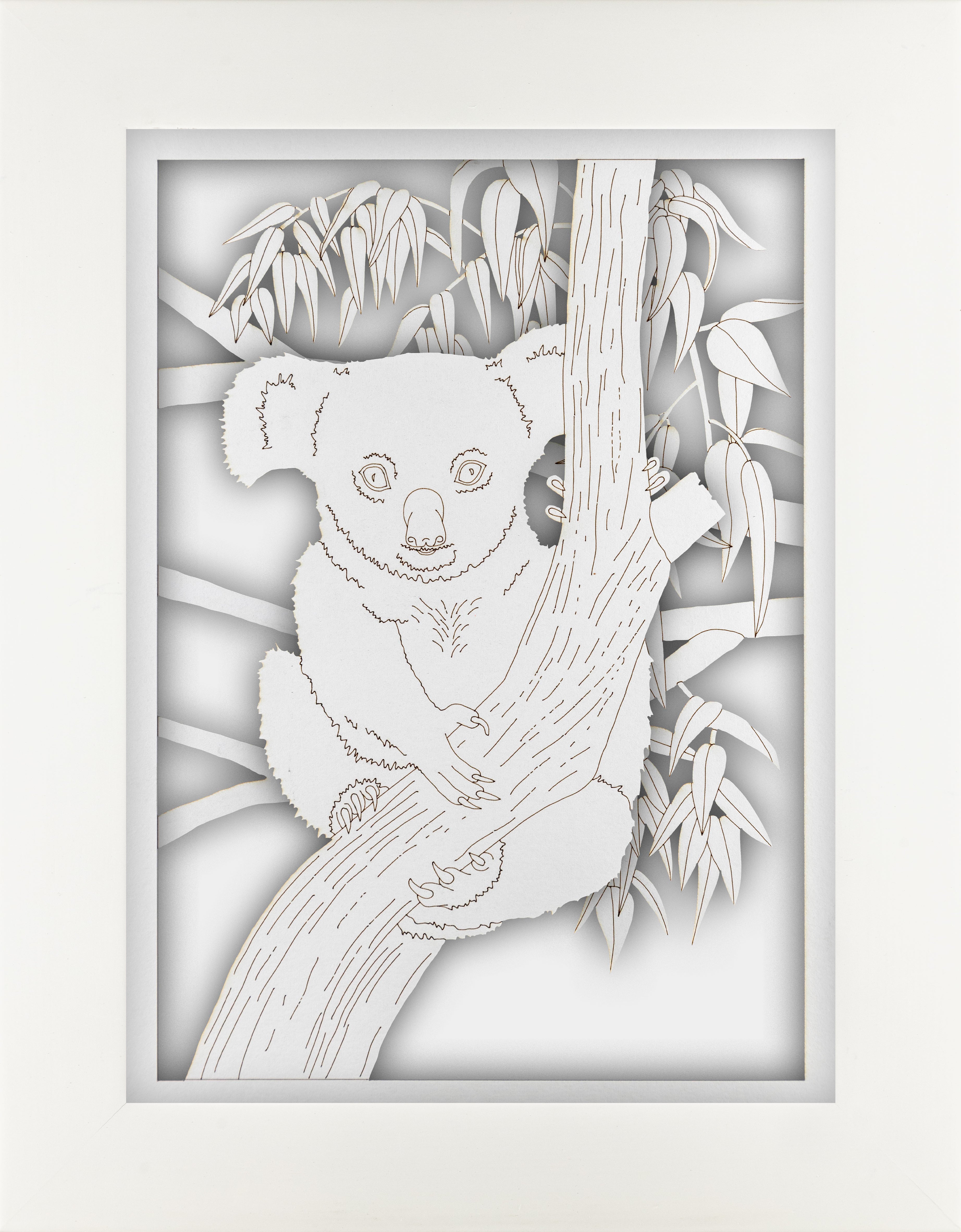 Koala Portrait Set