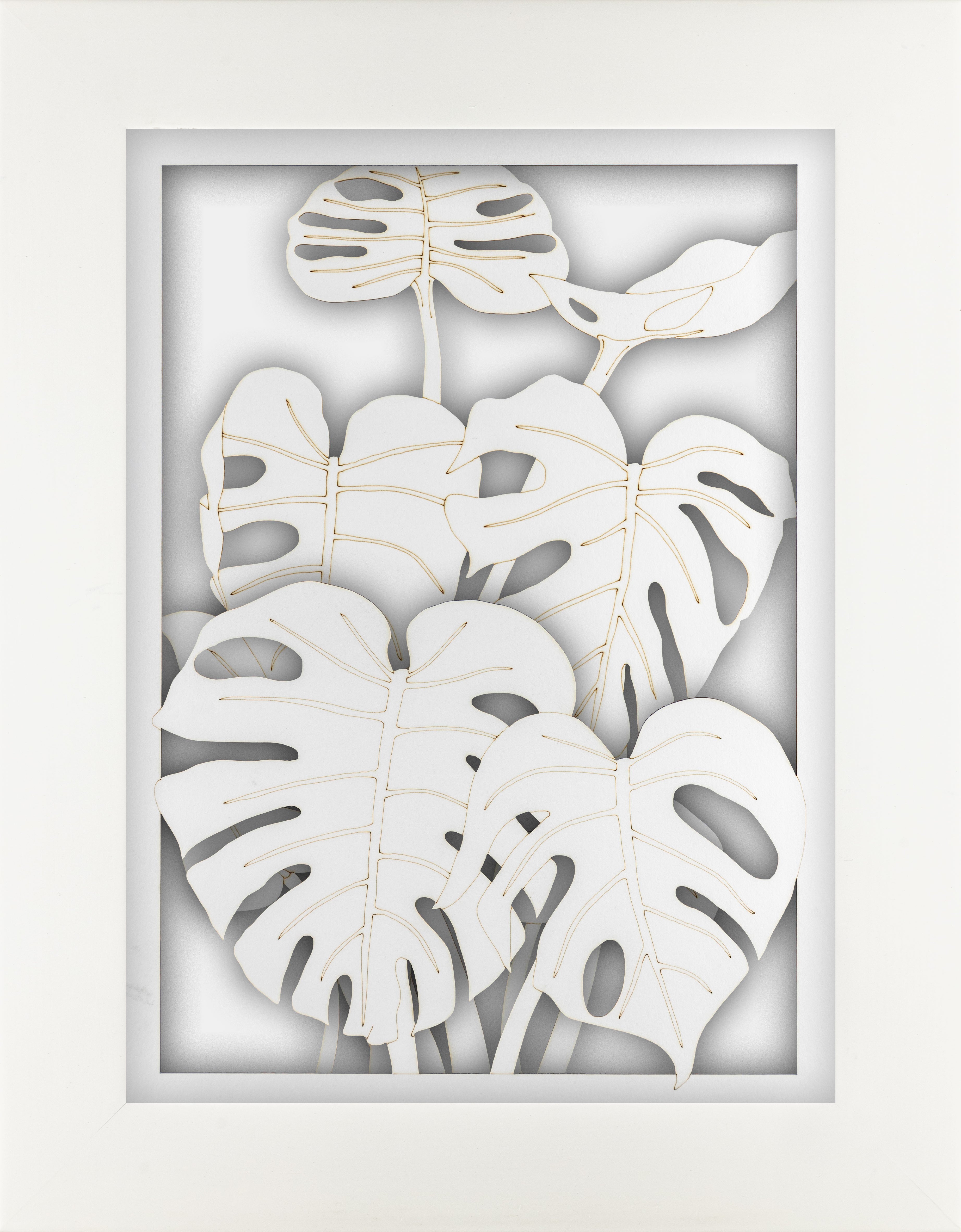 Monstera Portrait Set