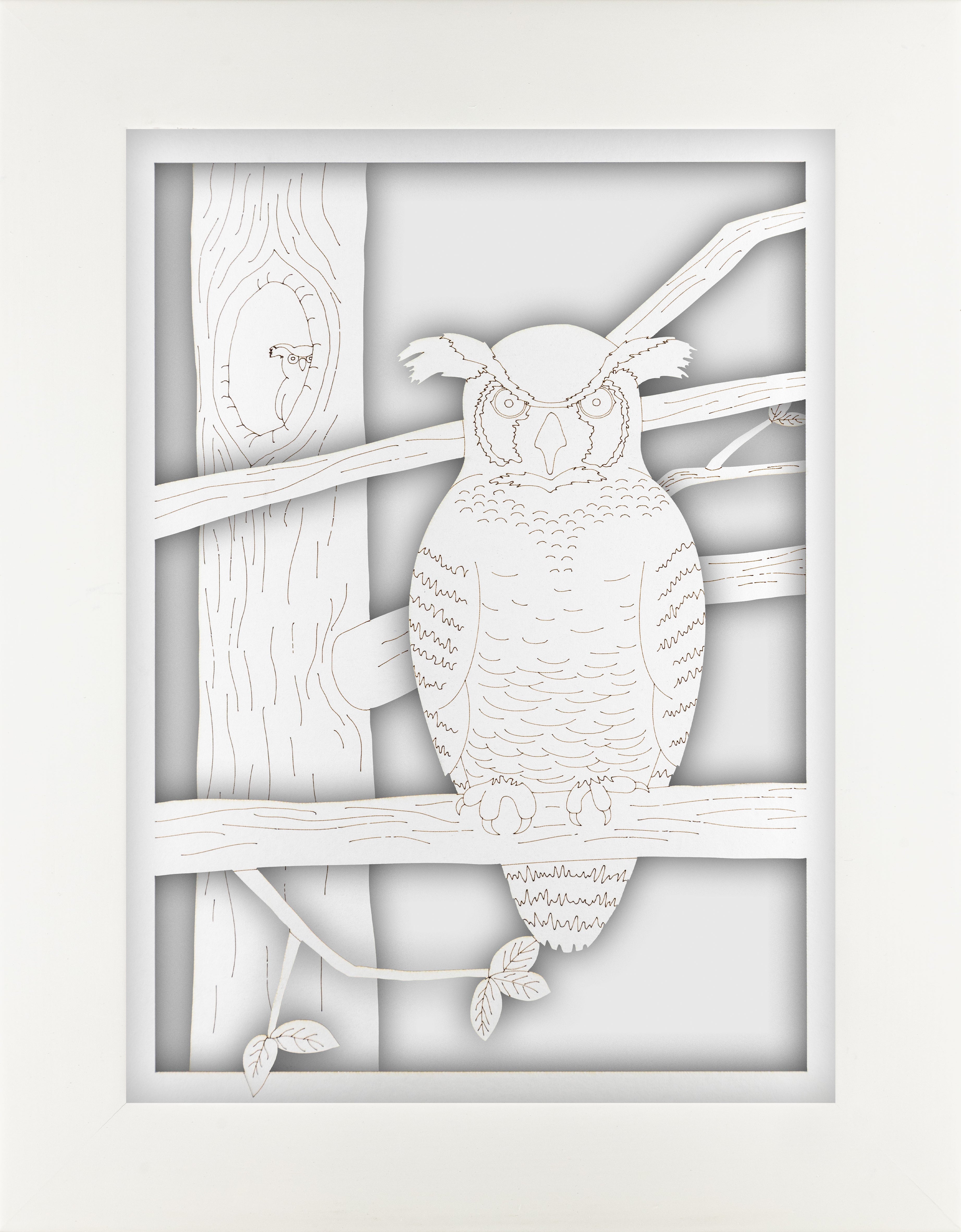 Owl Portrait Set
