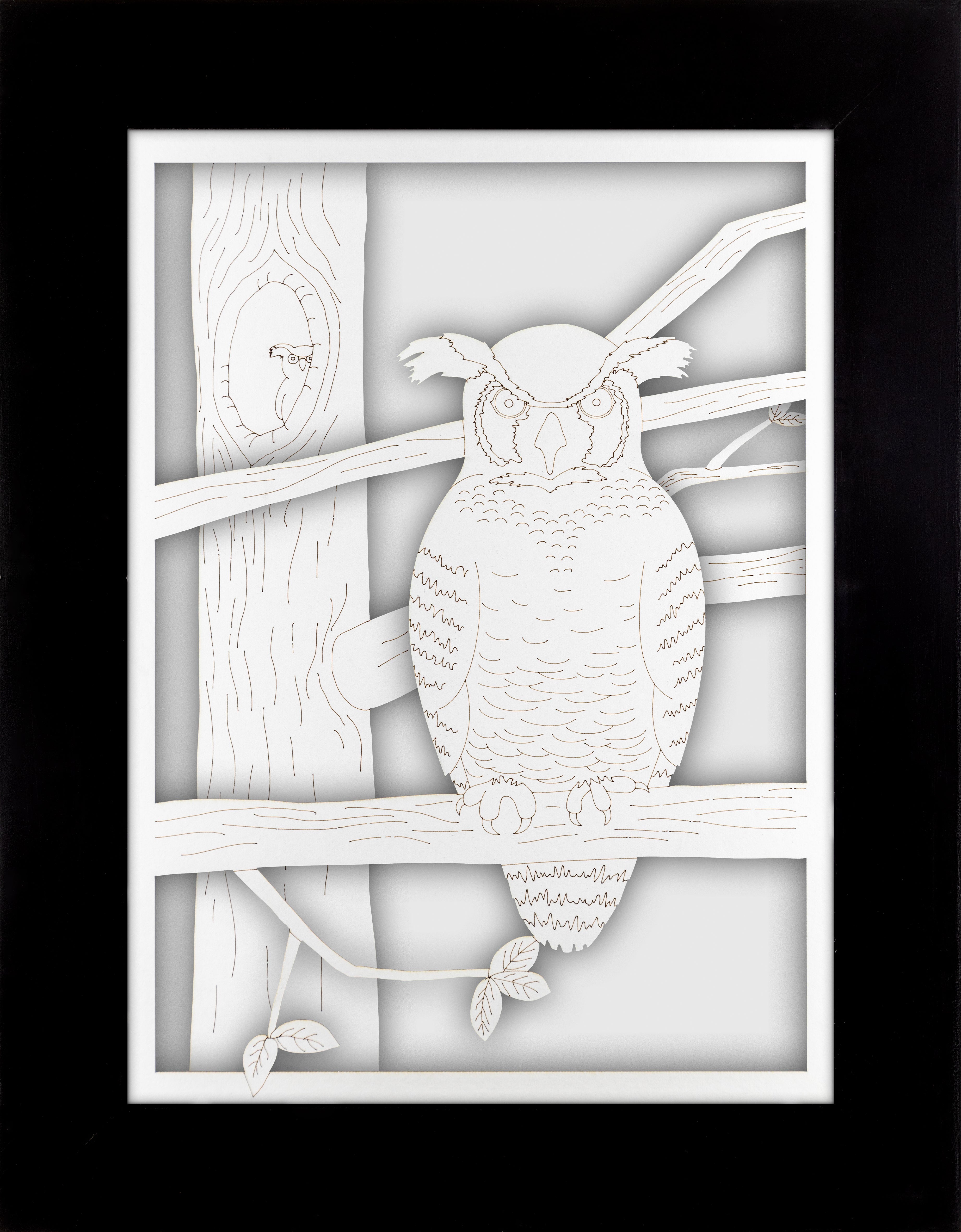 Owl Portrait Set