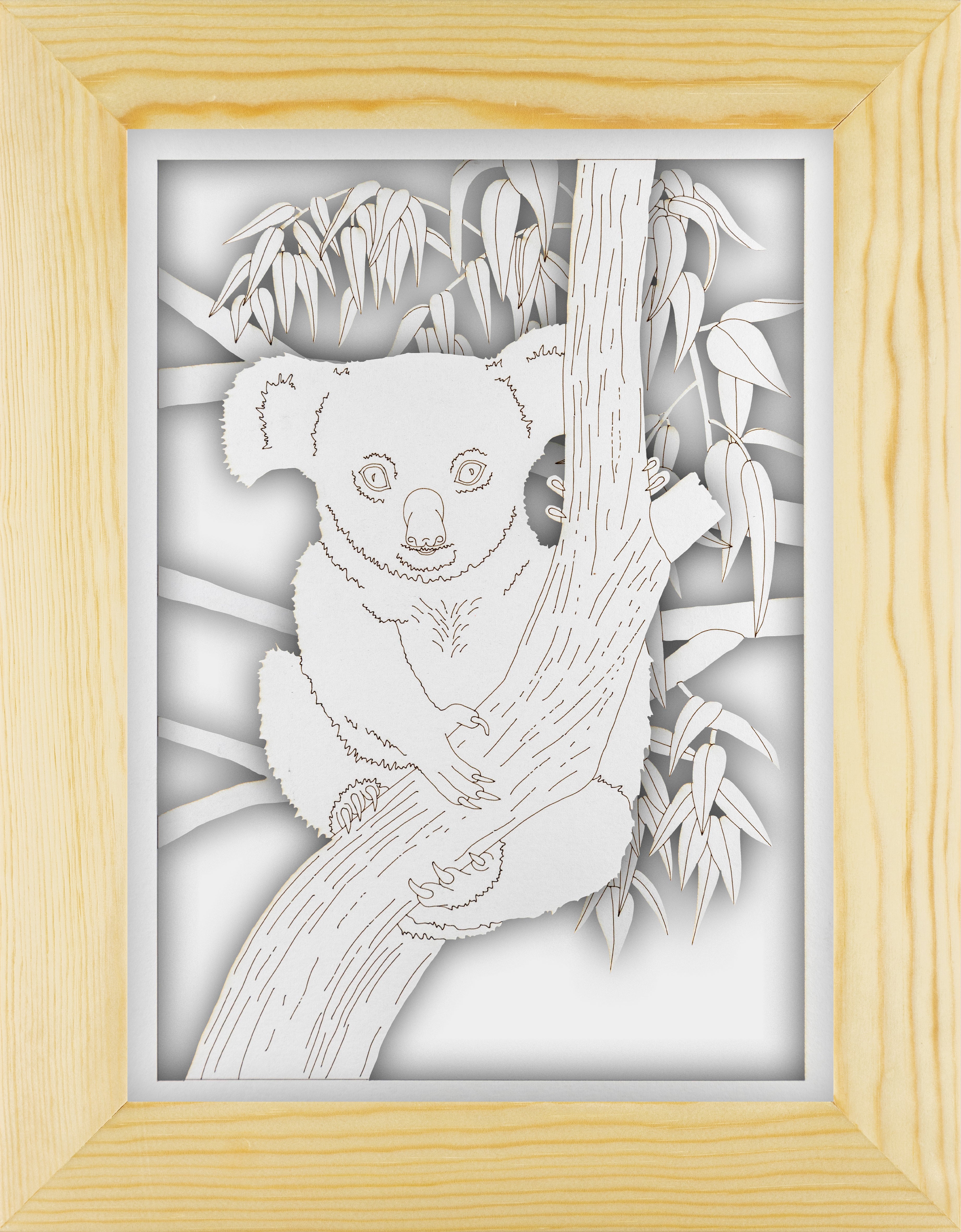 Koala Portrait Set