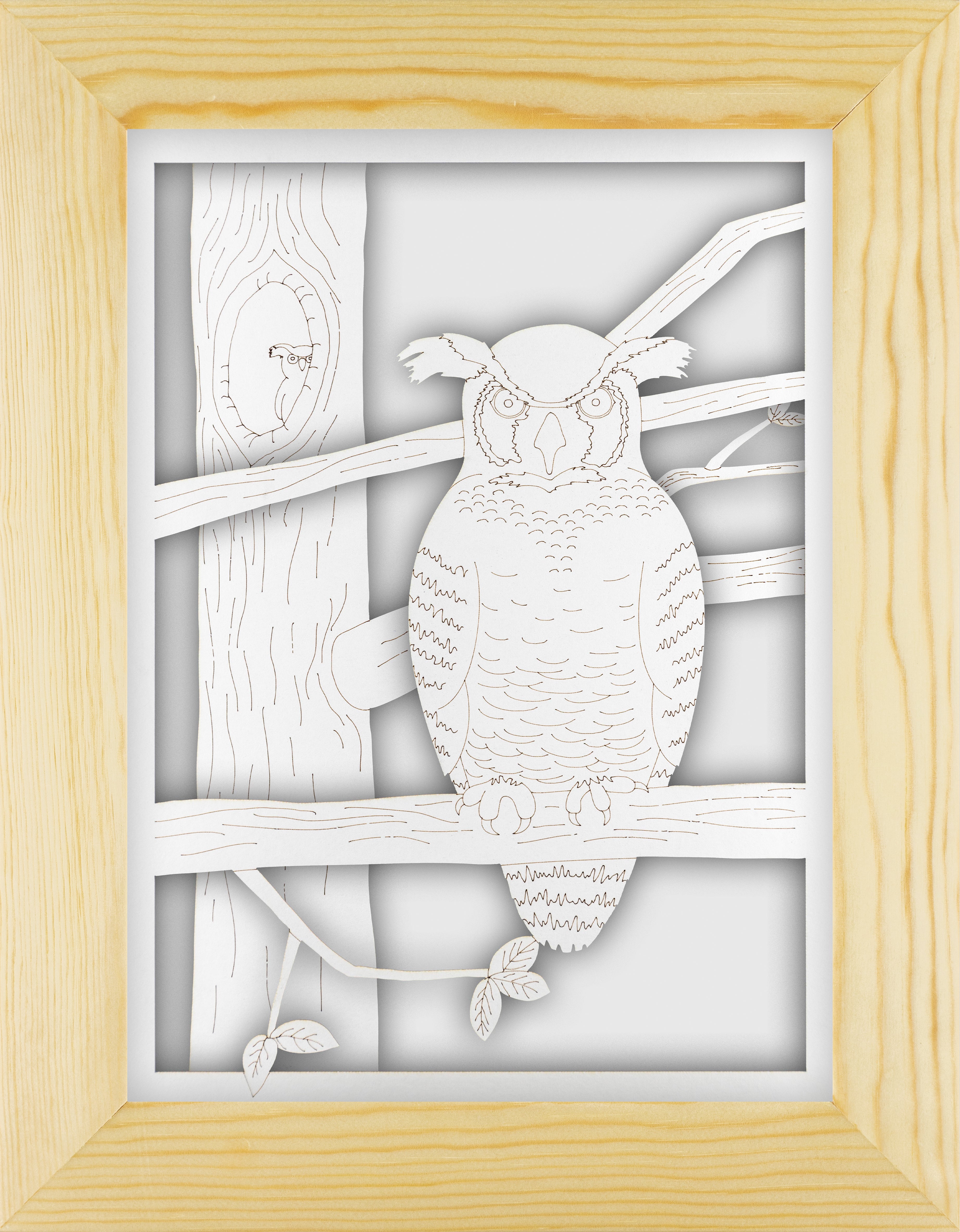Owl Portrait Set