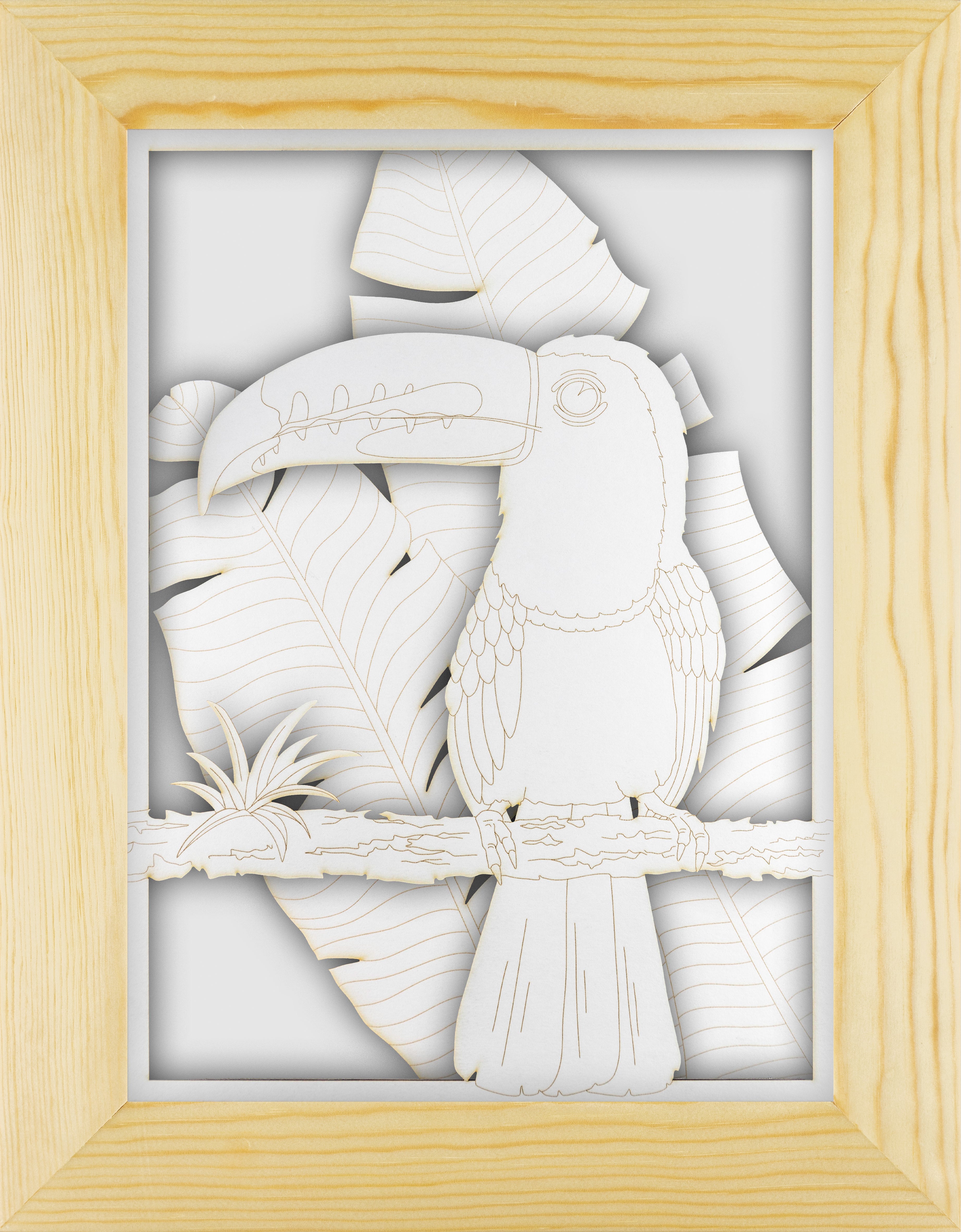 Toucan Portrait Set