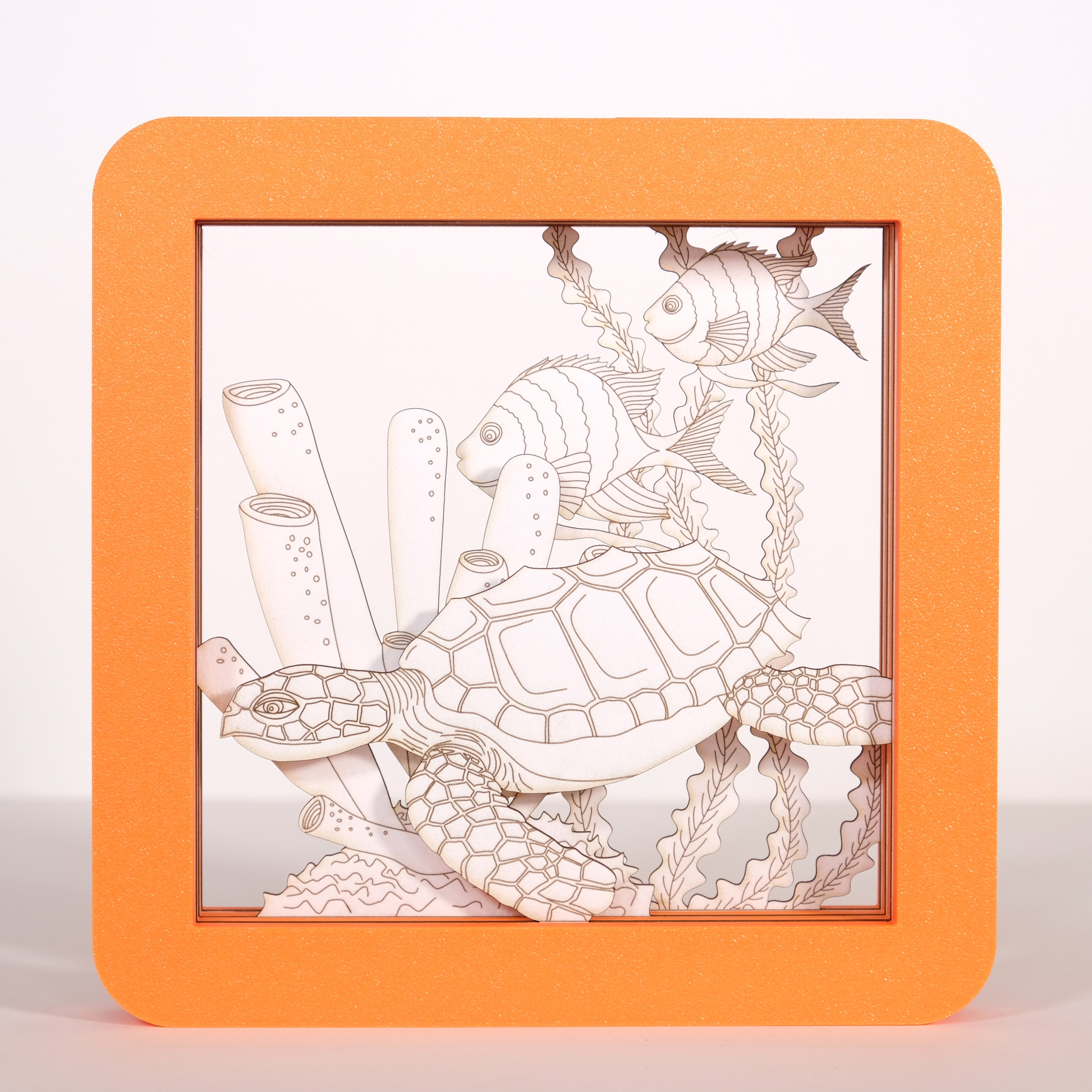 WÜDscapes Cube - Turtle