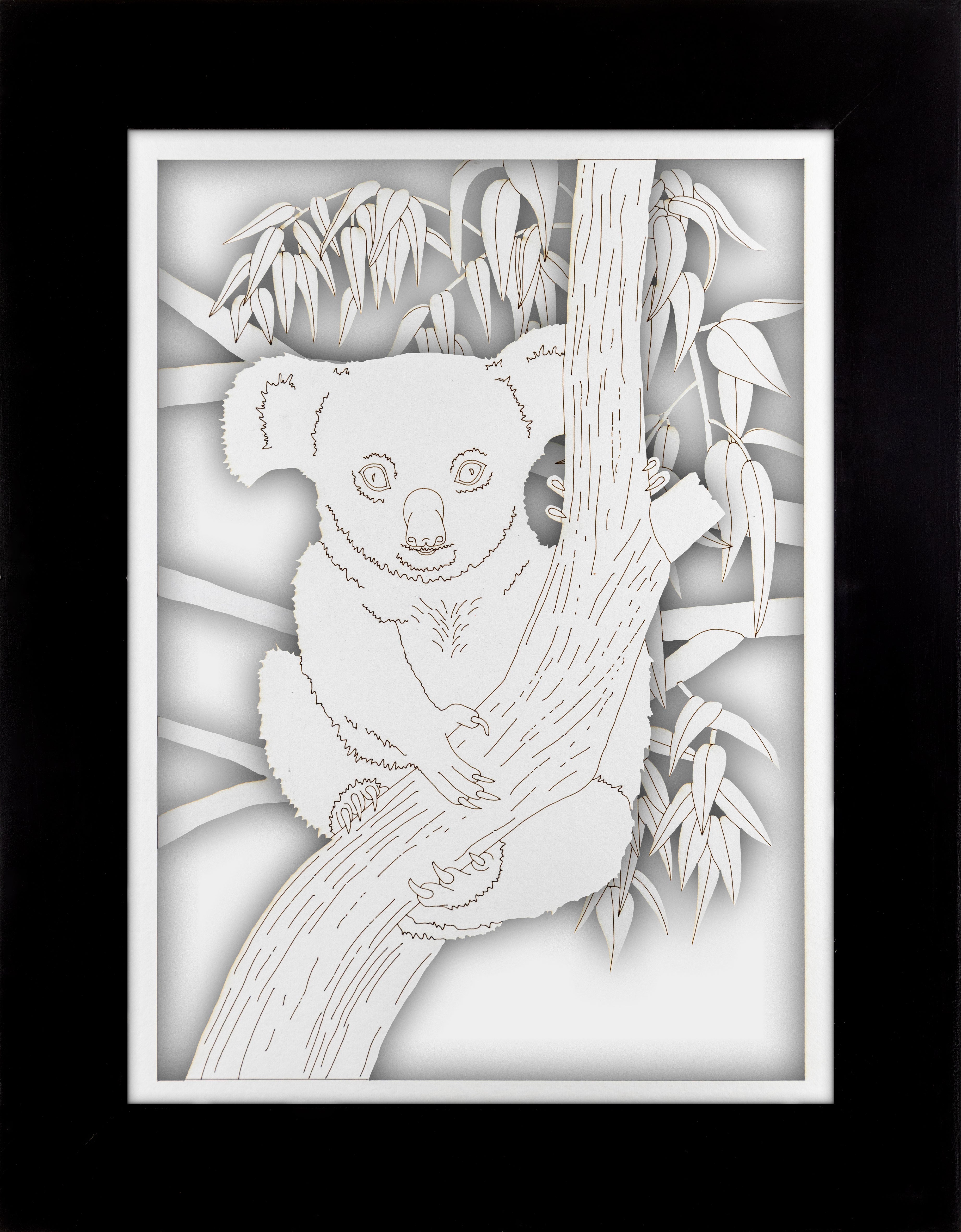 Koala Portrait Set