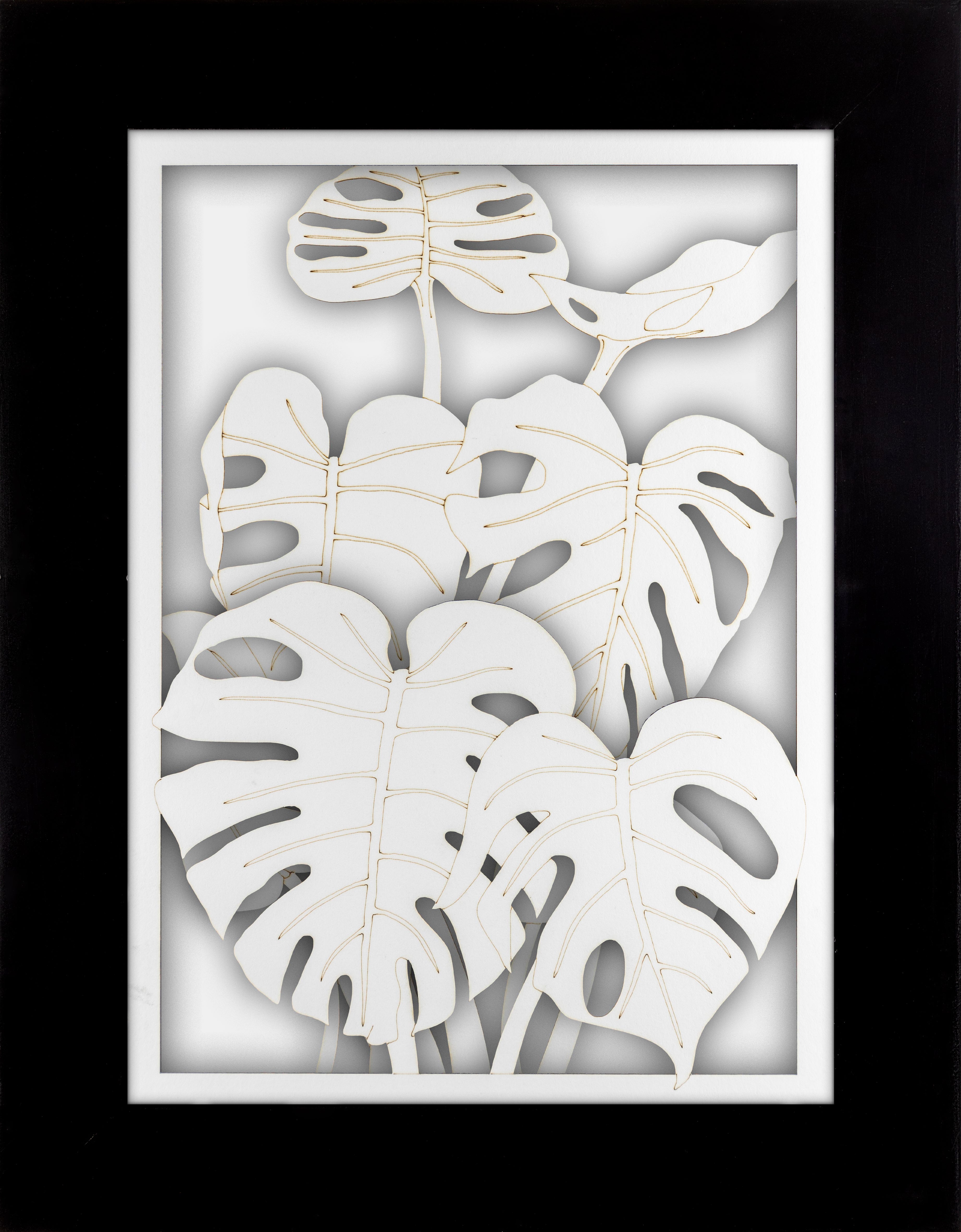 Monstera Portrait Set